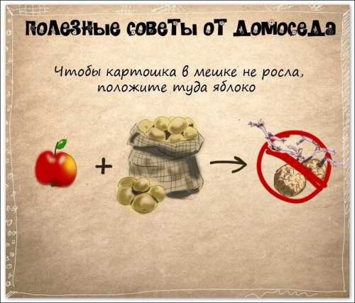 Мне пару раз с какихто выставок привозили пару жестяных банок