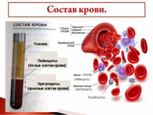 Исследование: состав крови связан с депрессией