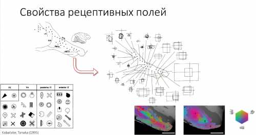 Как нейронные сети распознают эмоции