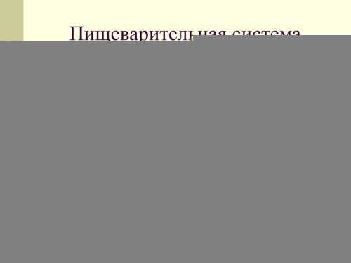 Вконтакте