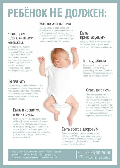 Дома с таким режимом никаких дел не успеваю сделать