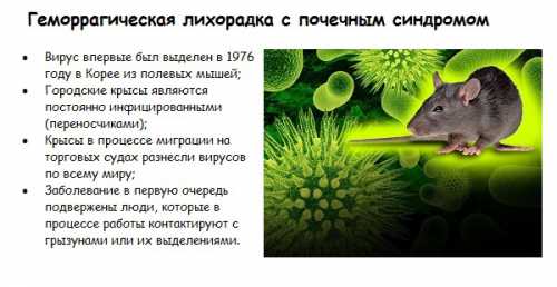 В первую очередь нужно избегать контакта с грызунами тщательно упаковывать пищу и посуду при выезде на природу, а продукты уже поврежденные грызунами ни в коем случае не использовать в пищу