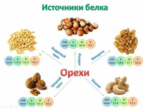 В говядине филе мг, ребрамг, вырезка мг на г продукта, в свинине на г мг